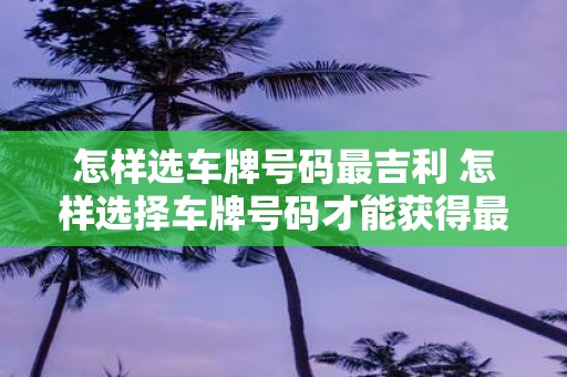 怎样选车牌号码最吉利 怎样选择车牌号码才能获得最旺的吉利之气