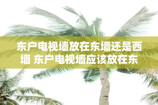 东户电视墙放在东墙还是西墙 东户电视墙应该放在东墙还是西墙