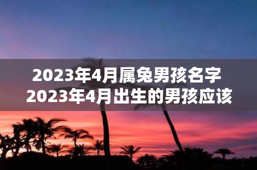 2025年4月属兔男孩名字 2025年4月出生的男孩应该取什么名字