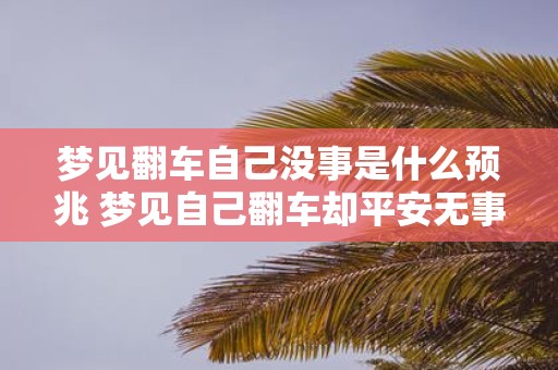 梦见翻车自己没事是什么预兆 梦见自己翻车却平安无事这预示着什么信息