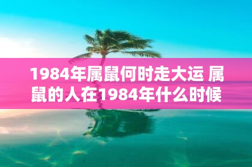 1984年属鼠何时走大运 属鼠的人在1984年什么时候迎来大运