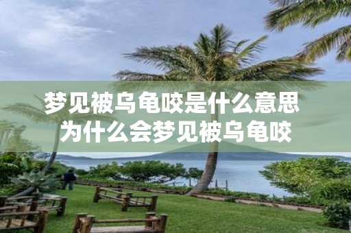 梦见被乌龟咬是什么意思 为什么会梦见被乌龟咬