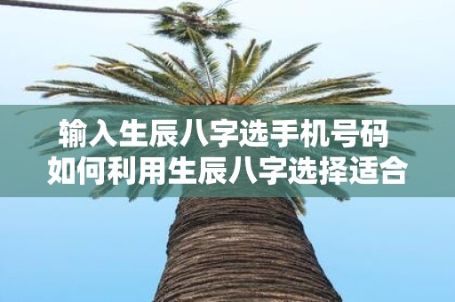 输入生辰八字选手机号码 如何利用生辰八字选择适合自己的手机号码