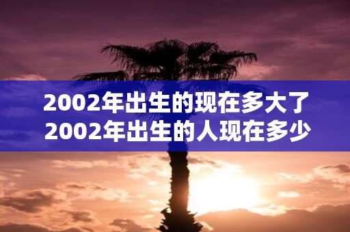 2002年出生的现在多大了 2002年出生的人现在多少岁了