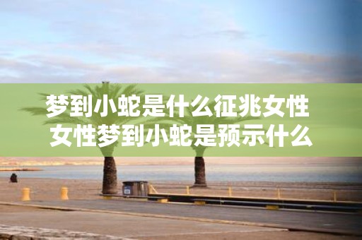 梦到小蛇是什么征兆女性 女性梦到小蛇是预示什么