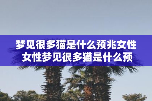 梦见很多猫是什么预兆女性 女性梦见很多猫是什么预兆