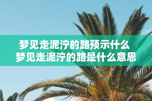 梦见走泥泞的路预示什么 梦见走泥泞的路是什么意思