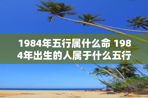 1984年五行属什么命 1984年出生的人属于什么五行命理