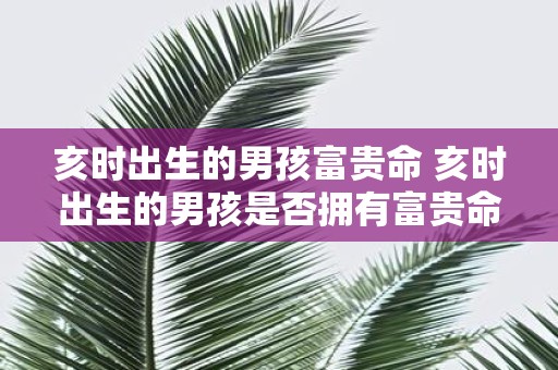 亥时出生的男孩富贵命 亥时出生的男孩是否拥有富贵命