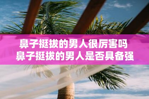 鼻子挺拔的男人很厉害吗 鼻子挺拔的男人是否具备强大的人生能力