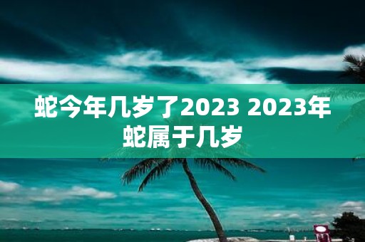 蛇今年几岁了2025 2025年蛇属于几岁