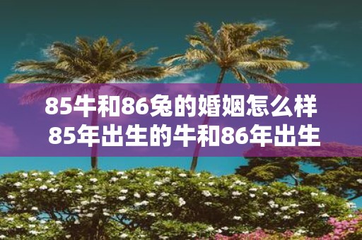 85牛和86兔的婚姻怎么样 85年出生的牛和86年出生的兔子组成的婚姻如何
