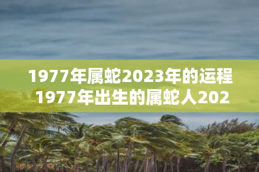 1977年属蛇2025年的运程 1977年出生的属蛇人2025年的运势如何
