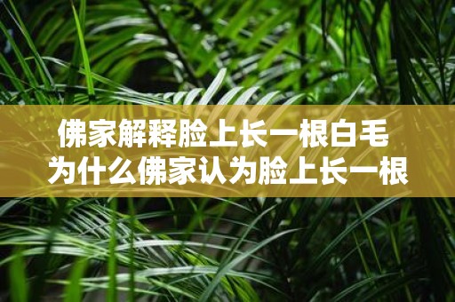 佛家解释脸上长一根白毛 为什么佛家认为脸上长一根白毛是有特殊的含义和意义的
