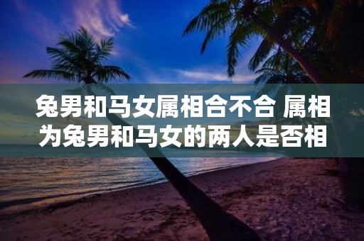 兔男和马女属相合不合 属相为兔男和马女的两人是否相配