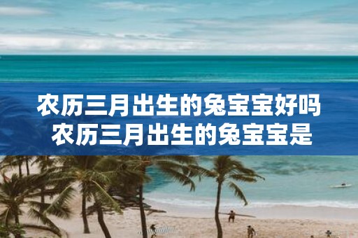 农历三月出生的兔宝宝好吗 农历三月出生的兔宝宝是否有好的性格和命运