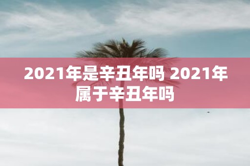 2021年是辛丑年吗 2021年属于辛丑年吗