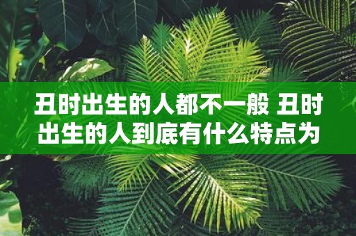 丑时出生的人都不一般 丑时出生的人到底有什么特点为什么会被视为与众不同