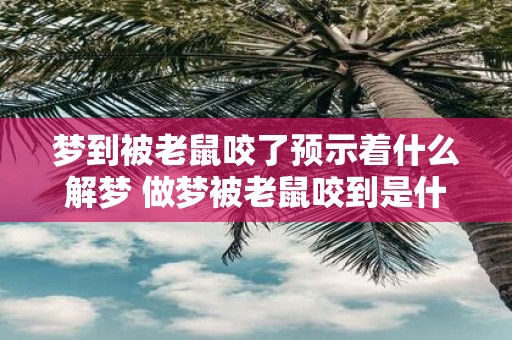梦到被老鼠咬了预示着什么解梦 做梦被老鼠咬到是什么意思该如何解释这个梦境