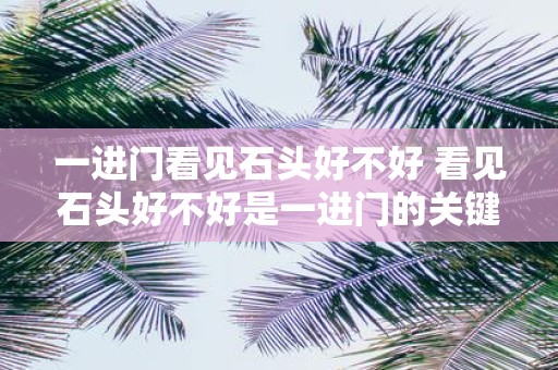 一进门看见石头好不好 看见石头好不好是一进门的关键吗
