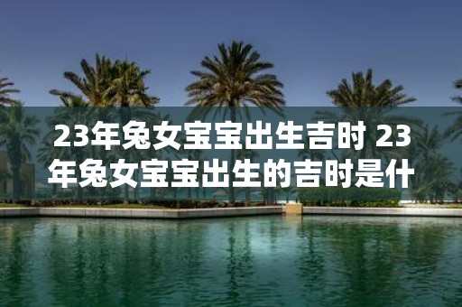 23年兔女宝宝出生吉时 23年兔女宝宝出生的吉时是什么