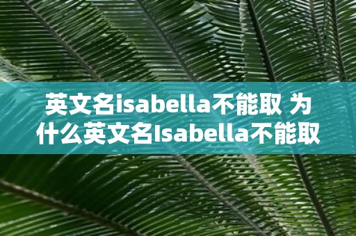 英文名isabella不能取 为什么英文名Isabella不能取