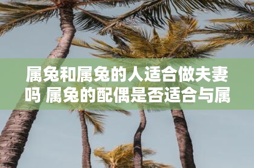 属兔和属兔的人适合做夫妻吗 属兔的配偶是否适合与属兔的人结为夫妻