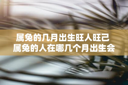 属兔的几月出生旺人旺己 属兔的人在哪几个月出生会旺人旺己