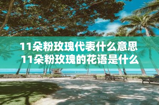 11朵粉玫瑰代表什么意思 11朵粉玫瑰的花语是什么