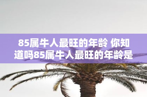 85属牛人最旺的年龄 你知道吗85属牛人最旺的年龄是什么