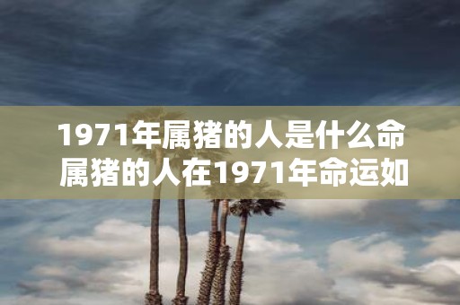 1971年属猪的人是什么命 属猪的人在1971年命运如何