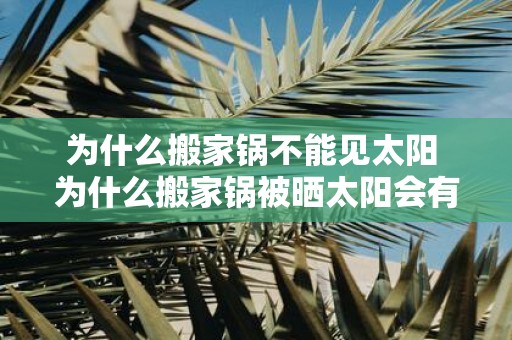 为什么搬家锅不能见太阳 为什么搬家锅被晒太阳会有什么问题