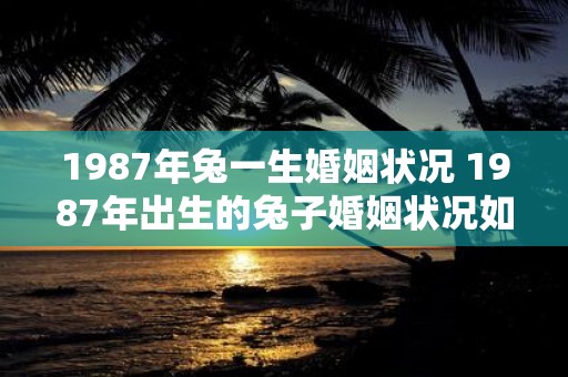 1987年兔一生婚姻状况 1987年出生的兔子婚姻状况如何