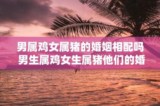 男属鸡女属猪的婚姻相配吗 男生属鸡女生属猪他们的婚姻是否合适