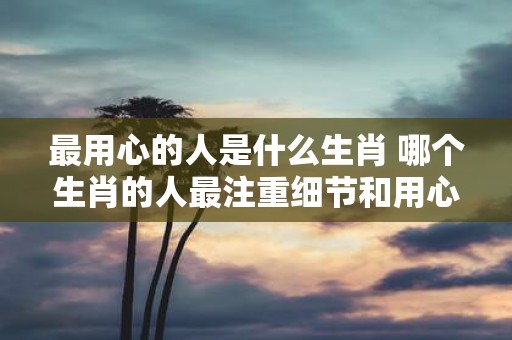 最用心的人是什么生肖 哪个生肖的人最注重细节和用心