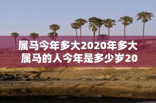 属马今年多大2020年多大 属马的人今年是多少岁2020年又会是多少岁