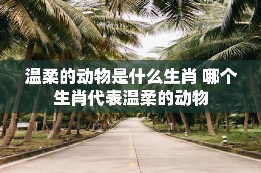 温柔的动物是什么生肖 哪个生肖代表温柔的动物