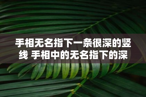 手相无名指下一条很深的竖线 手相中的无名指下的深竖线是什么意义