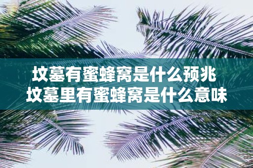 坟墓有蜜蜂窝是什么预兆 坟墓里有蜜蜂窝是什么意味