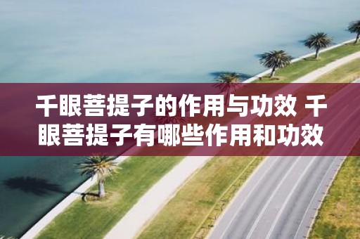 千眼菩提子的作用与功效 千眼菩提子有哪些作用和功效呢