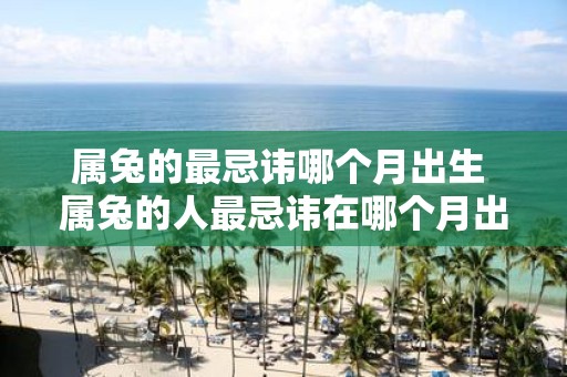 属兔的最忌讳哪个月出生 属兔的人最忌讳在哪个月出生