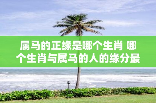属马的正缘是哪个生肖 哪个生肖与属马的人的缘分最为契合