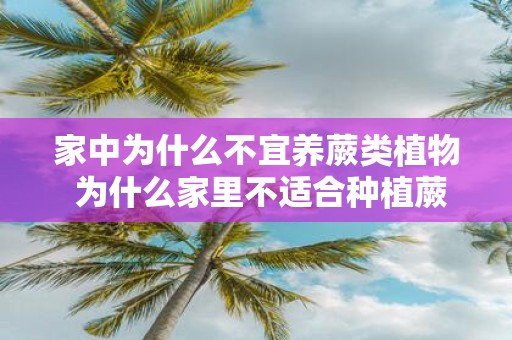 家中为什么不宜养蕨类植物 为什么家里不适合种植蕨类植物