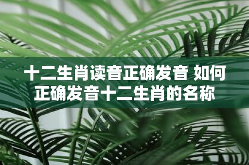 十二生肖读音正确发音 如何正确发音十二生肖的名称