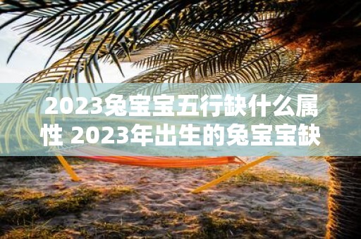 2025兔宝宝五行缺什么属性 2025年出生的兔宝宝缺乏哪个五行属性