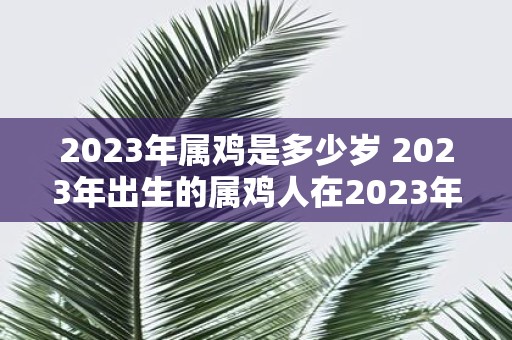 2025年属鸡是多少岁 2025年出生的属鸡人在2025年时是几岁