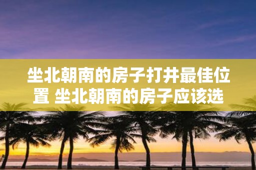 坐北朝南的房子打井最佳位置 坐北朝南的房子应该选择什么位置进行打井