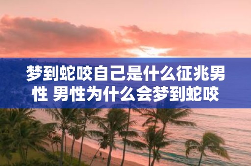 梦到蛇咬自己是什么征兆男性 男性为什么会梦到蛇咬自己这是什么预示或征兆