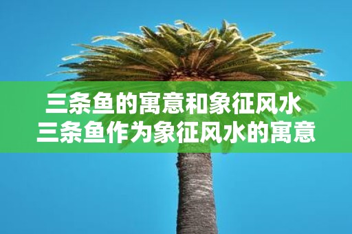 三条鱼的寓意和象征风水 三条鱼作为象征风水的寓意及其涵义是什么
