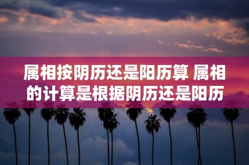 属相按阴历还是阳历算 属相的计算是根据阴历还是阳历进行的探讨中国传统属相的计算方法
